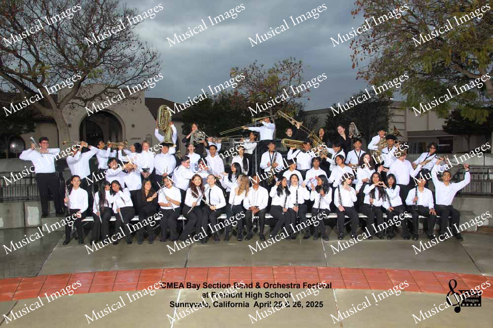 Musical Images